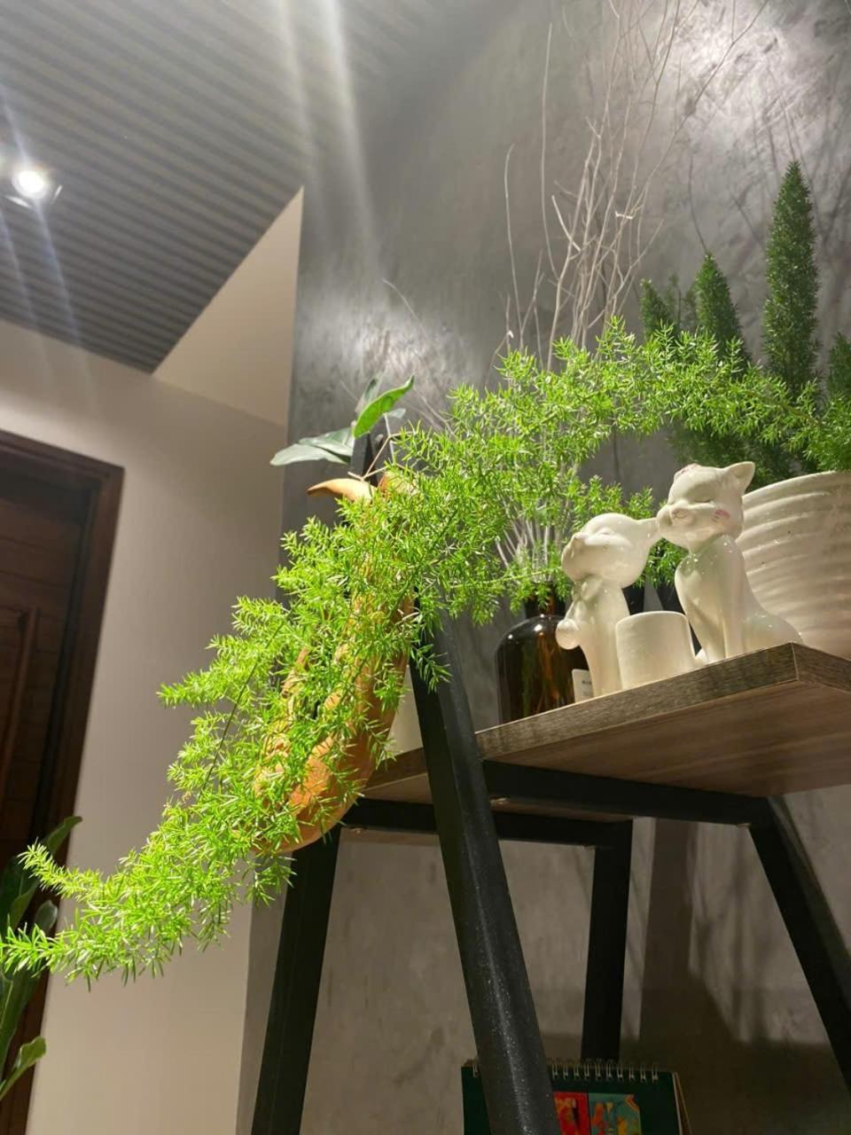 Ekehaus Đà Lạt Hotel Khu Chi Lang Ngoại thất bức ảnh